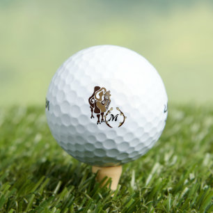 Whimsical Bactrian Camel Monogram Golf Balls