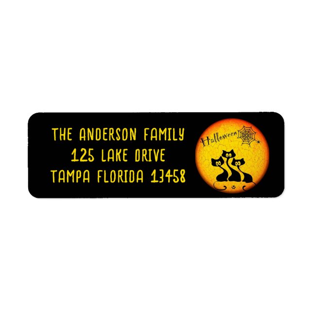 Whimsical Black Cats, Lune et Spider Web (Devant)