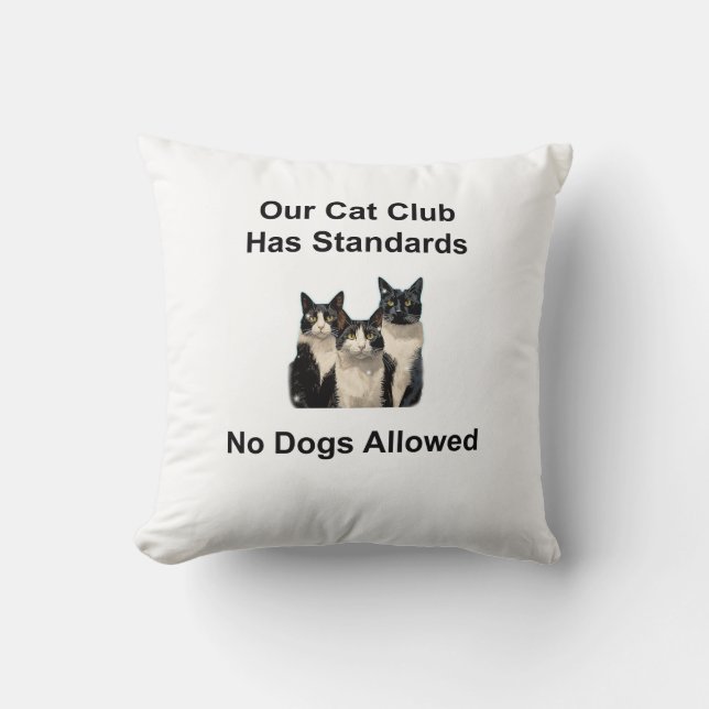 Whimsical Cat Throw Pillow (Front)