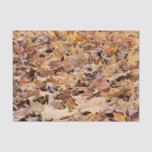 Whimsical Colourful Autumn Falling Leaf Tissue Paper