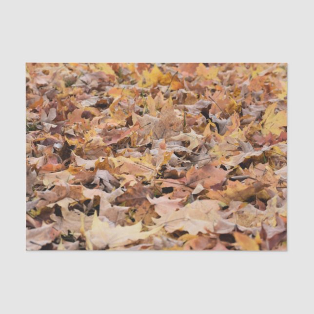 Whimsical Colourful Autumn Falling Leaf Tissue Paper (Front)