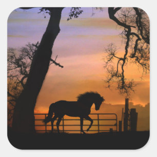 Whimsical Country Horse Stickers