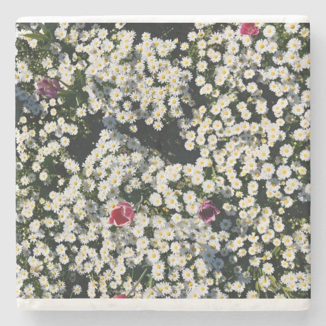 Whimsical Daisy Meadow Coaster Set (Front)