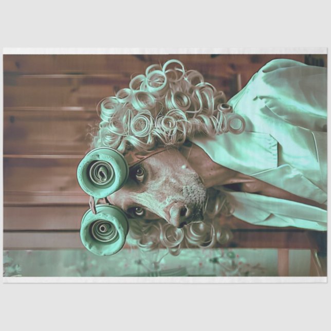 Whimsical Dressed Bird Dog Decoupage Tissue Paper (Front)