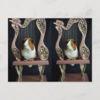 Whimsical Guinea Pig Harp Postcard – Elegant Story