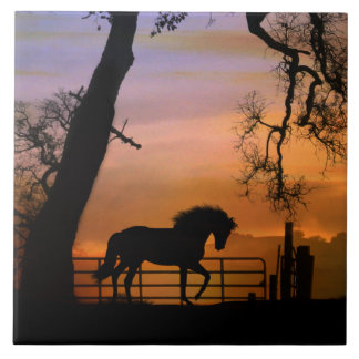 Whimsical Horse Art Tile, Pretty Southwestern Tile
