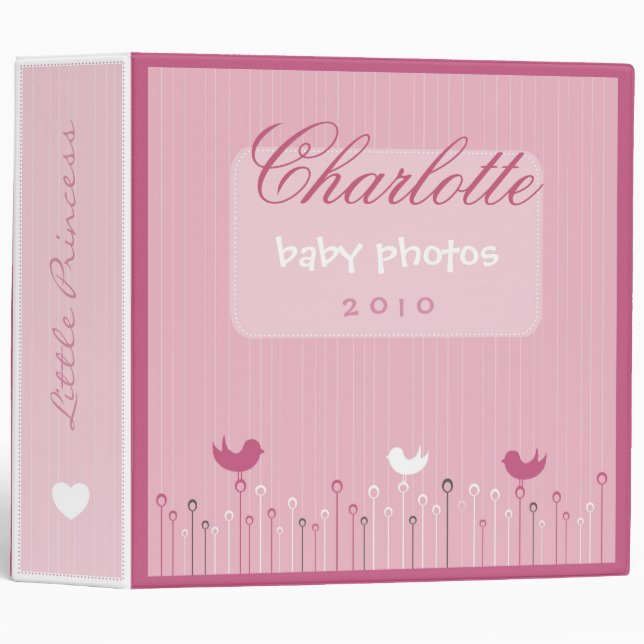 Whimsical Love Birds Binder (Front/Spine)