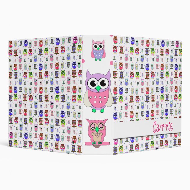 Whimsical Owl Binder (Background)