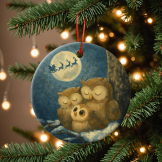 Whimsical Owl Family Christmas Eve Baby Owlet Ceramic Ornament