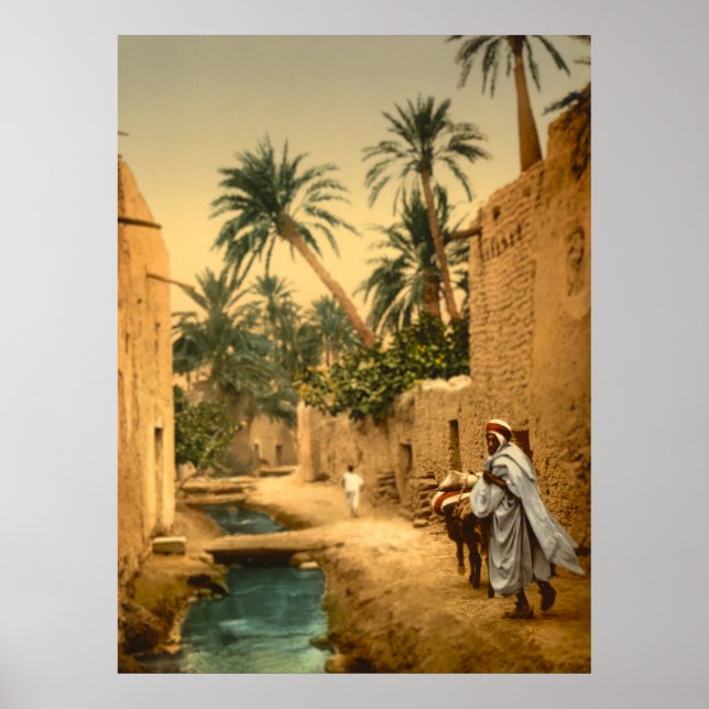 Whimsical Rendition of Biskra Algeria Poster (Front)