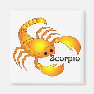 Whimsical Scorpio Magnets