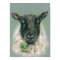 Whimsical Sheep with Shamrocks