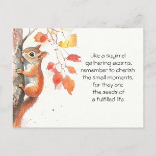 Whimsical Squirrel Postcard