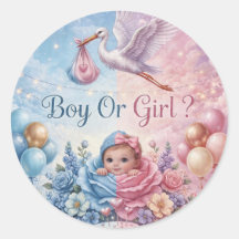 Whimsical Stork Gender Reveal Boy or Girl