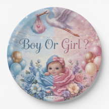 Whimsical Stork Gender Reveal Boy or Girl