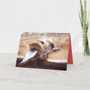 WHIMSICAL VALENTINES DAY GREETING CARDS - GIFTS