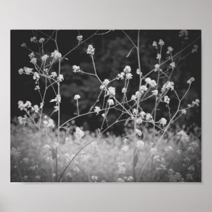 Whimsical Wildflower Black and White Poster