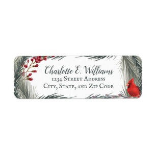 Whimsical Winter Cardinal