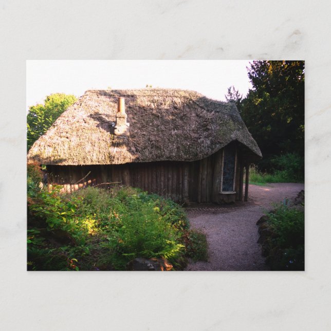 Whimsical Wood House  Photo Postcard (Front)