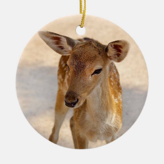 Whimsical Woodland Deer Photography Ceramic Ornament (Front)