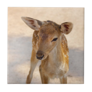 Whimsical Woodland Deer Photography Tile