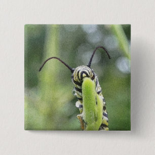 Whimsical Young Monarch Butterfly Caterpillar 2 Inch Square Button