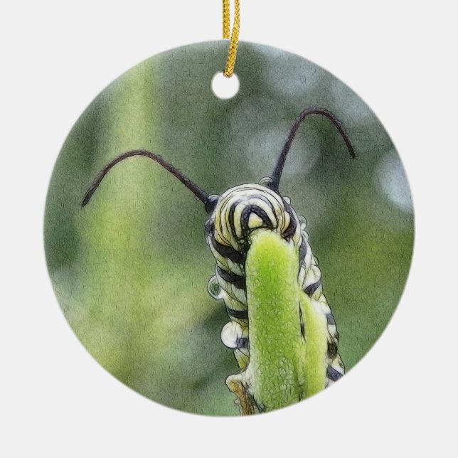 Whimsical Young Monarch Butterfly Caterpillar Ceramic Ornament (Front)