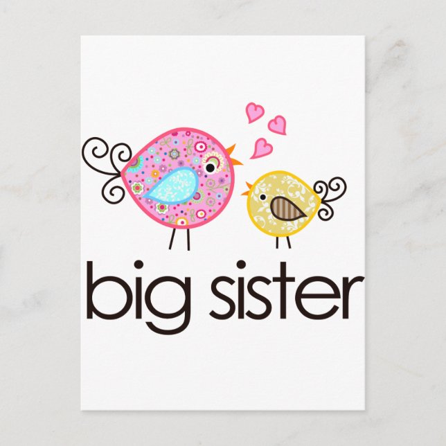 Whimsy Birds Big Sister T-shirt Announcement (Front)