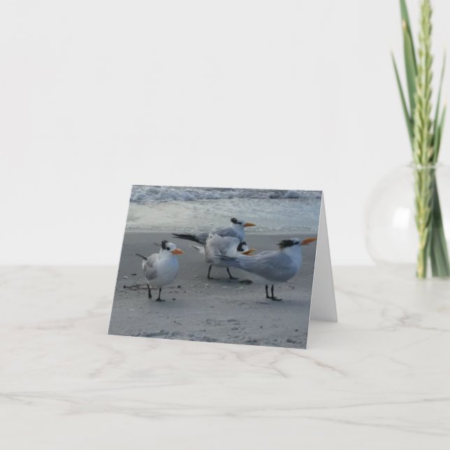 Whinning Seagull Card (Front)