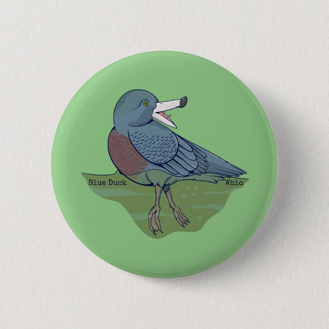 Whio Blue Duck NZ BIRD 2 Inch Round Button (Front)