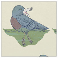 Whio Blue Duck NZ BIRD