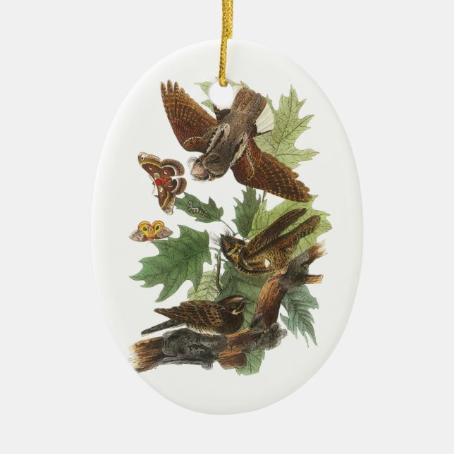 Whip-poor-will by Audubon Ceramic Ornament (Front)