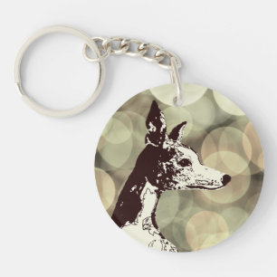 Whippet