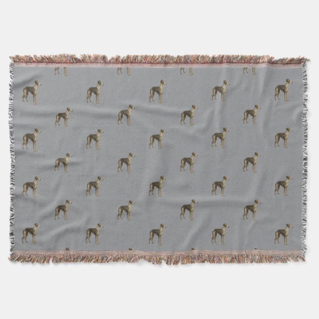 Whippet blanket - Whippet against grey background (Front)