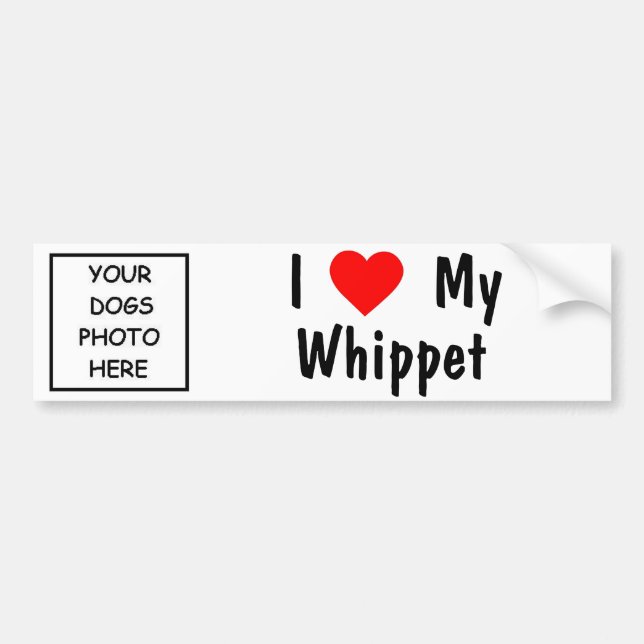 Whippet Bumper Sticker (Front)