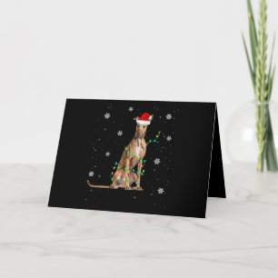 Whippet Christmas Light Cute Santa Whippet Xmas Holiday Card