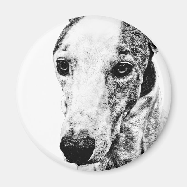 Whippet dog magnet (Front)