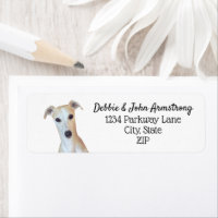 Whippet Dog Puppy Breeder Return Address