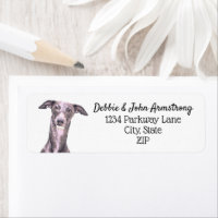 Whippet Dog Puppy Breeder Return Address