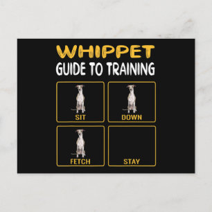 whippet guide to training dog obedience postcard