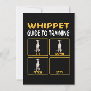 whippet guide to training dog obedience thank you card