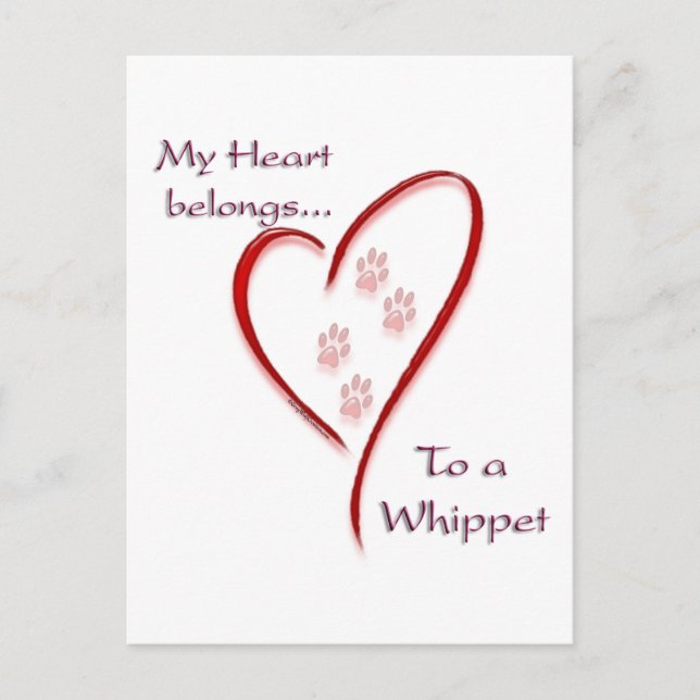 Whippet Heart Belongs Postcard (Front)