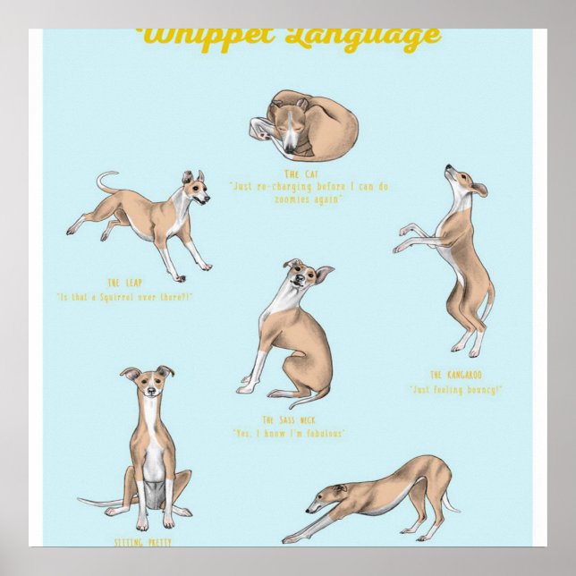 Whippet Language Print | Whippet Canvas (Front)