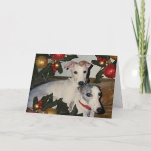 Whippet Mother and Pup Card