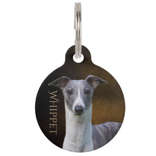 Whippet Pet Tag