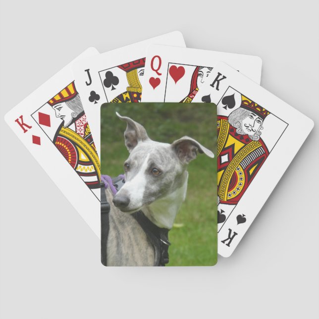 Whippet playing cards (Back)