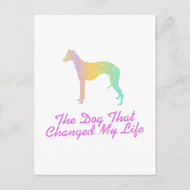 Whippet Postcard (Front)
