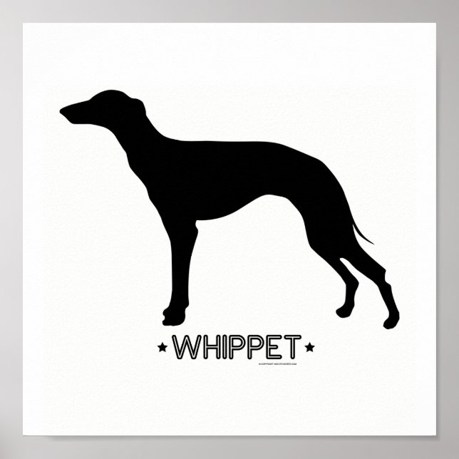 Whippet Print (Front)