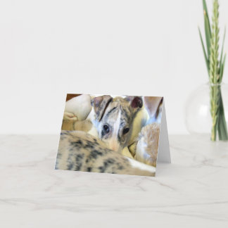 Whippet puppy notecard