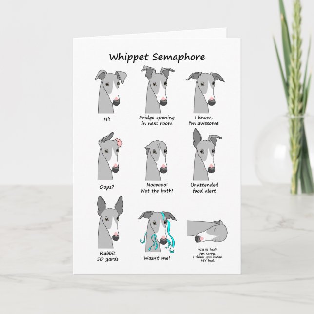 Whippet Semaphore Card (Front)